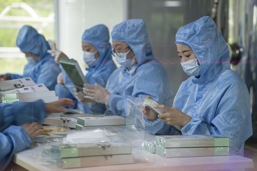 有綠、有技、有特色 鄉村振興新活力中的生物科技力量